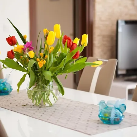 公寓 Free Private Garage 斯普利特