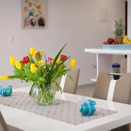 公寓 Free Private Garage 斯普利特